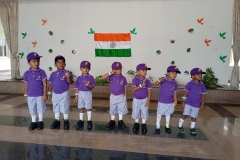 Independence Day_33